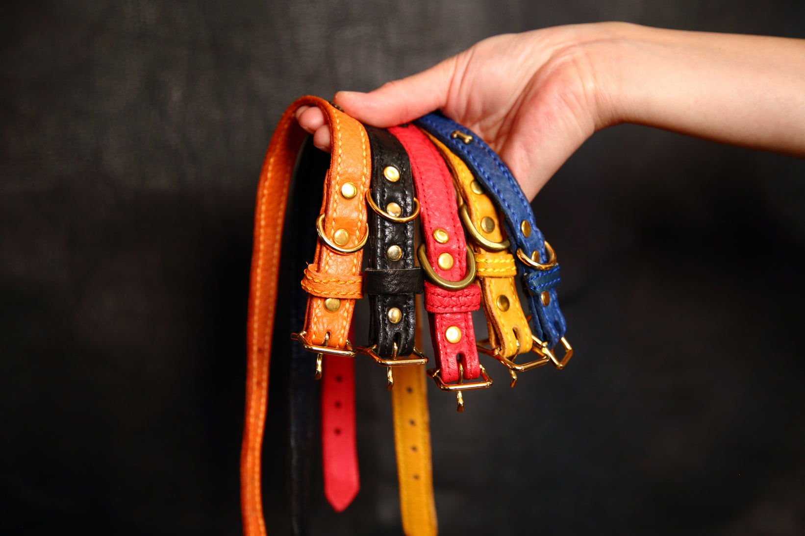 gigisan様専用【新品級】エルメス・首輪・犬用・カデナ